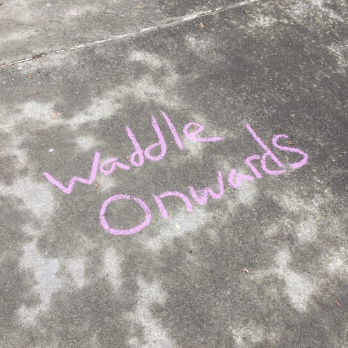 'Waddle onwards' written in chalk on ground