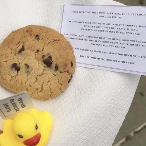 Rubber duck and cult cookie